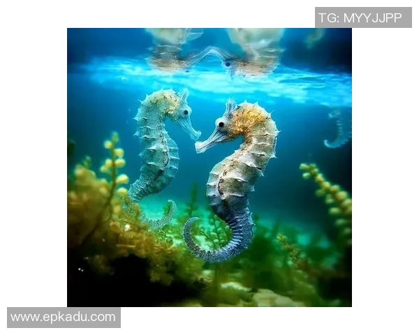 仙台七夕与海洋的奇妙交融探寻传统与自然的美丽结合