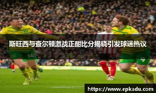 斯旺西与查尔顿激战正酣比分揭晓引发球迷热议